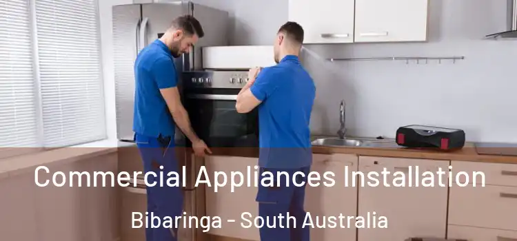 Commercial Appliances Installation Bibaringa - South Australia