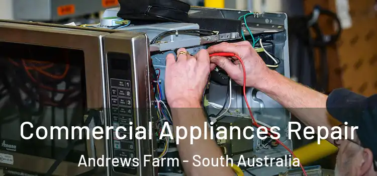 Commercial Appliances Repair Andrews Farm - South Australia
