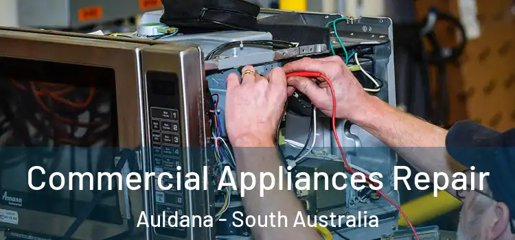 Commercial Appliances Repair Auldana - South Australia