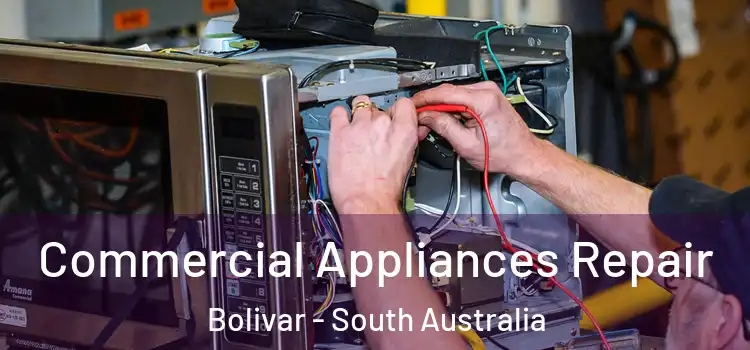 Commercial Appliances Repair Bolivar - South Australia