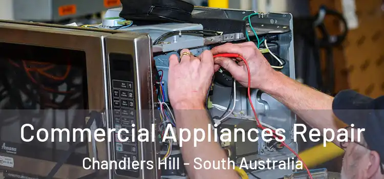 Commercial Appliances Repair Chandlers Hill - South Australia
