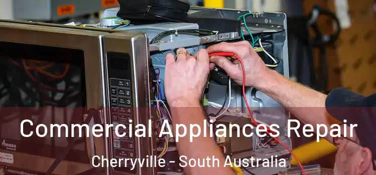 Commercial Appliances Repair Cherryville - South Australia