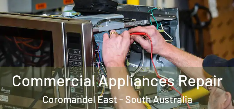 Commercial Appliances Repair Coromandel East - South Australia