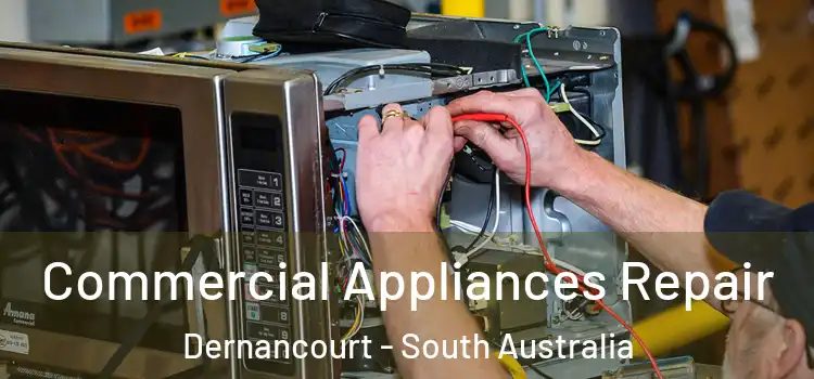 Commercial Appliances Repair Dernancourt - South Australia