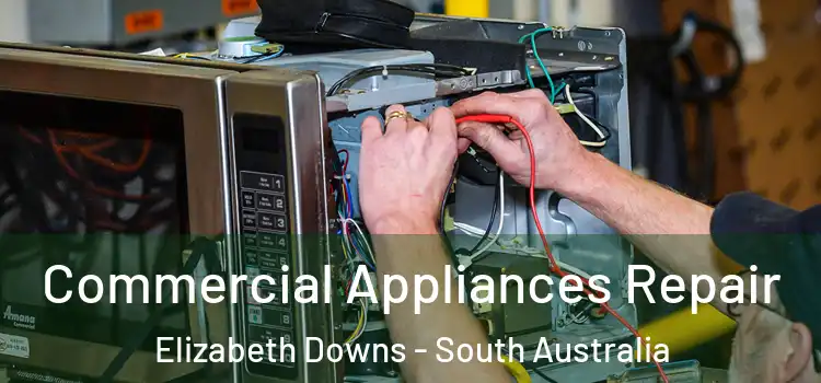Commercial Appliances Repair Elizabeth Downs - South Australia
