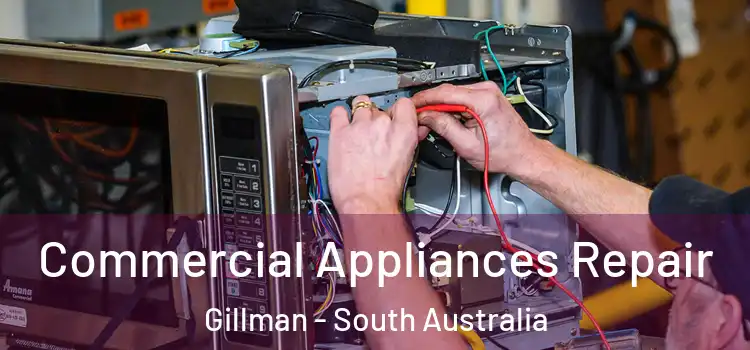 Commercial Appliances Repair Gillman - South Australia