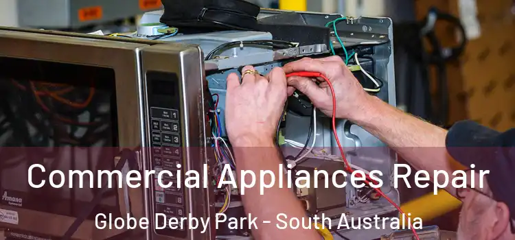 Commercial Appliances Repair Globe Derby Park - South Australia