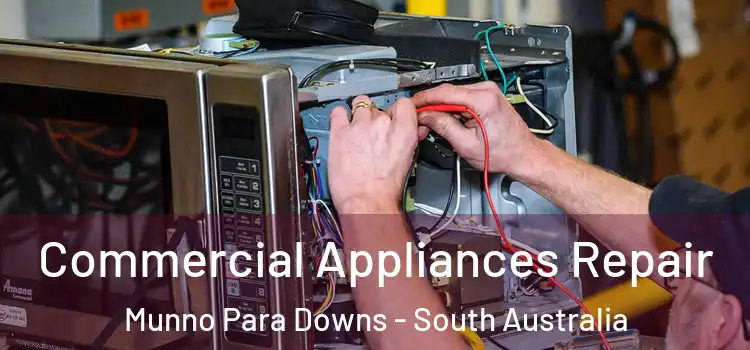Commercial Appliances Repair Munno Para Downs - South Australia