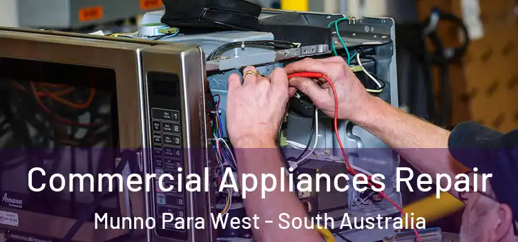 Commercial Appliances Repair Munno Para West - South Australia
