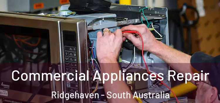 Commercial Appliances Repair Ridgehaven - South Australia
