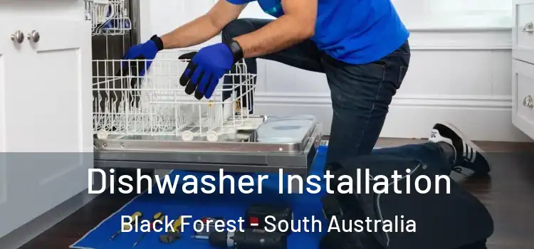 Dishwasher Installation Black Forest - South Australia