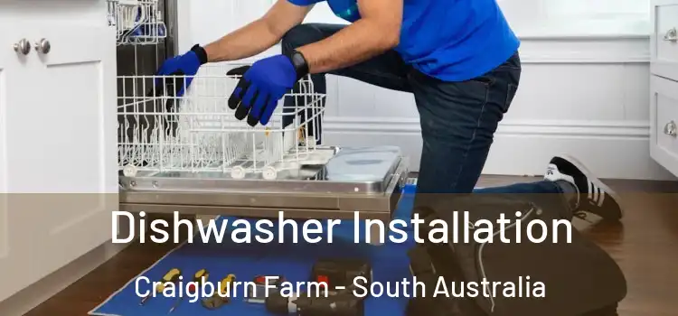 Dishwasher Installation Craigburn Farm - South Australia