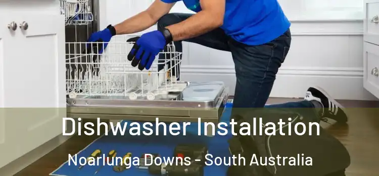 Dishwasher Installation Noarlunga Downs - South Australia