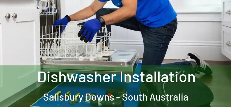 Dishwasher Installation Salisbury Downs - South Australia
