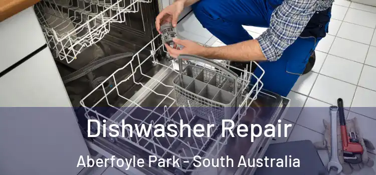 Dishwasher Repair Aberfoyle Park - South Australia
