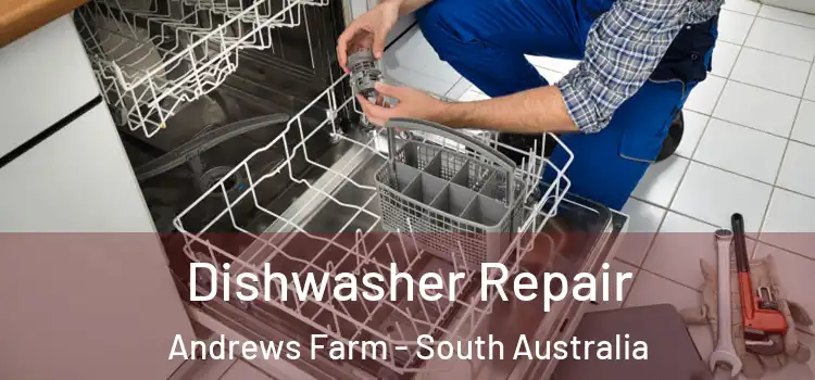 Dishwasher Repair Andrews Farm - South Australia