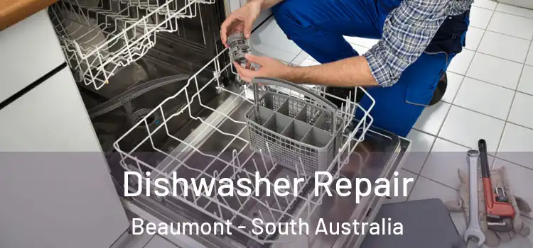 Dishwasher Repair Beaumont - South Australia