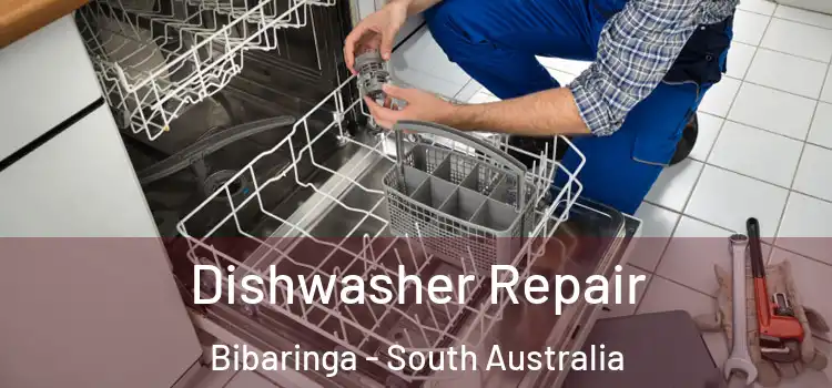 Dishwasher Repair Bibaringa - South Australia