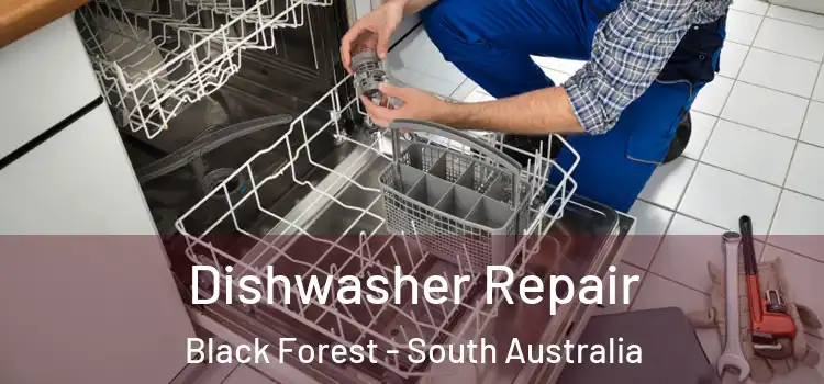 Dishwasher Repair Black Forest - South Australia