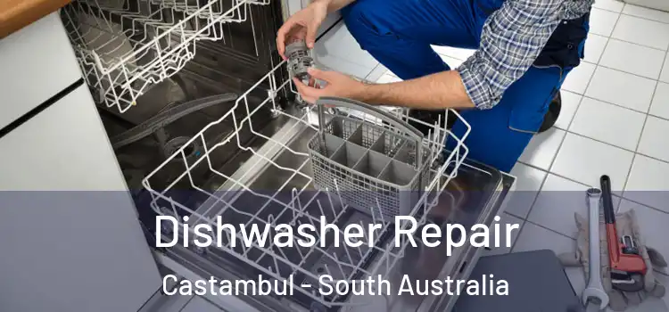 Dishwasher Repair Castambul - South Australia