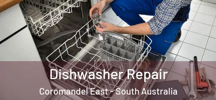 Dishwasher Repair Coromandel East - South Australia