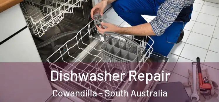 Dishwasher Repair Cowandilla - South Australia