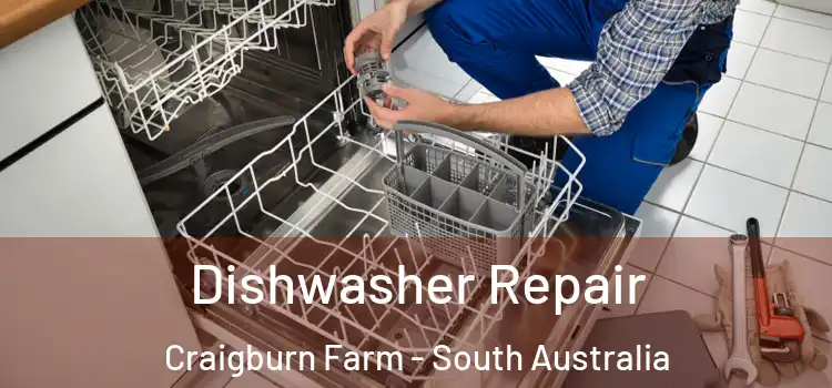 Dishwasher Repair Craigburn Farm - South Australia