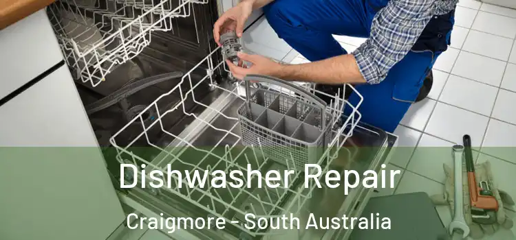 Dishwasher Repair Craigmore - South Australia