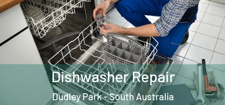 Dishwasher Repair Dudley Park - South Australia