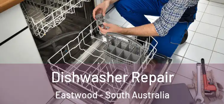 Dishwasher Repair Eastwood - South Australia