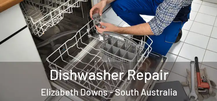 Dishwasher Repair Elizabeth Downs - South Australia