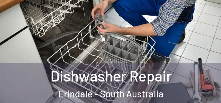 Dishwasher Repair Erindale - South Australia