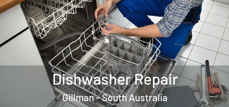 Dishwasher Repair Gillman - South Australia