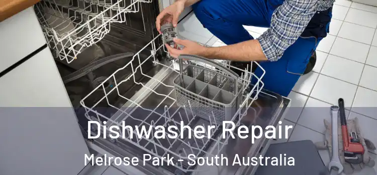 Dishwasher Repair Melrose Park - South Australia
