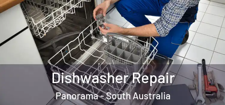 Dishwasher Repair Panorama - South Australia