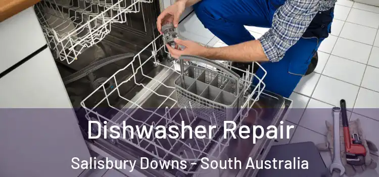 Dishwasher Repair Salisbury Downs - South Australia