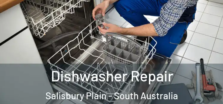 Dishwasher Repair Salisbury Plain - South Australia