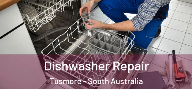Dishwasher Repair Tusmore - South Australia