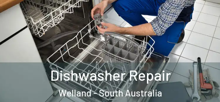 Dishwasher Repair Welland - South Australia