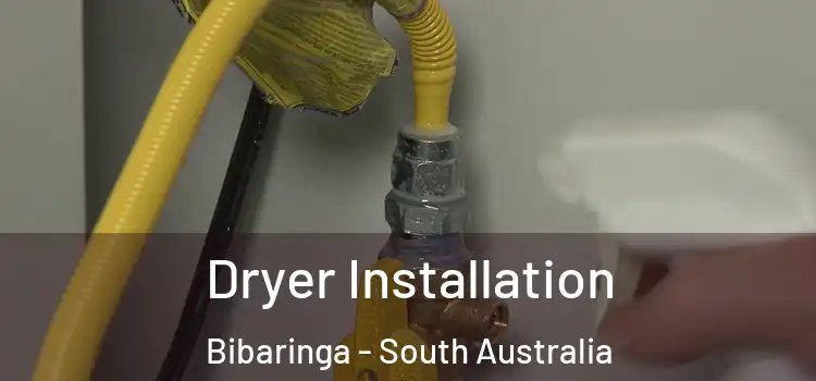 Dryer Installation Bibaringa - South Australia