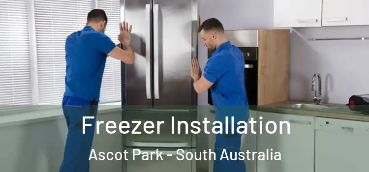 Freezer Installation Ascot Park - South Australia