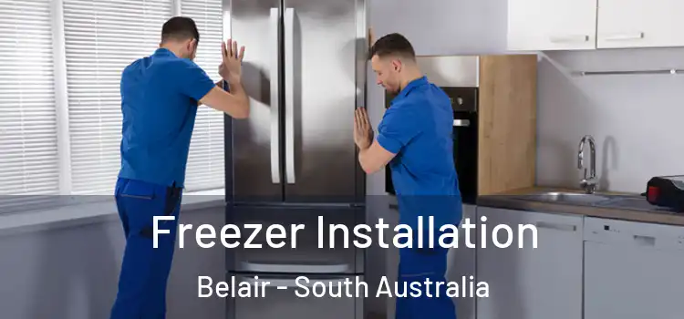 Freezer Installation Belair - South Australia