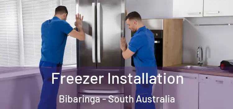 Freezer Installation Bibaringa - South Australia