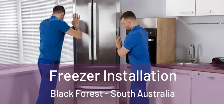 Freezer Installation Black Forest - South Australia