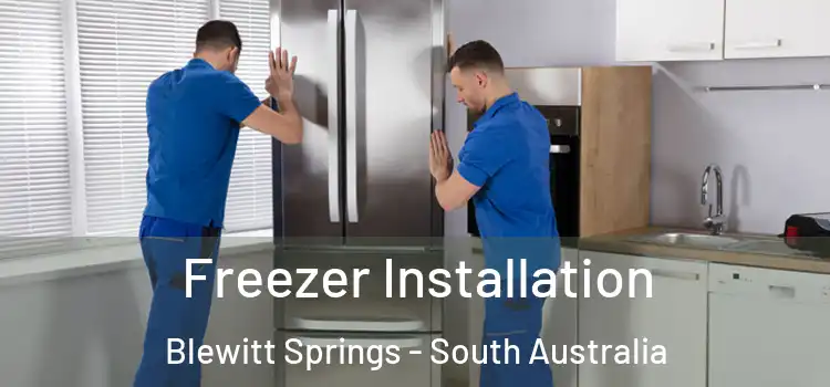 Freezer Installation Blewitt Springs - South Australia