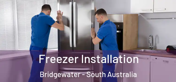 Freezer Installation Bridgewater - South Australia