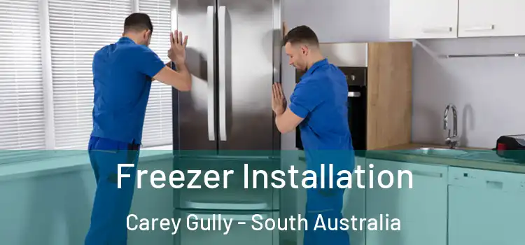 Freezer Installation Carey Gully - South Australia