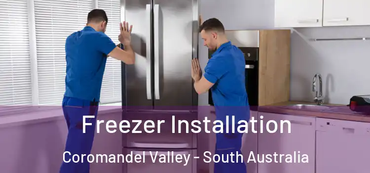 Freezer Installation Coromandel Valley - South Australia