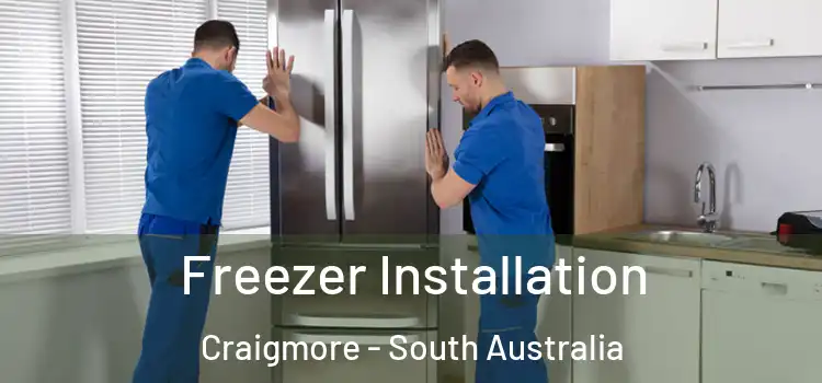 Freezer Installation Craigmore - South Australia