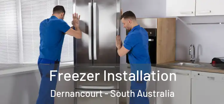 Freezer Installation Dernancourt - South Australia